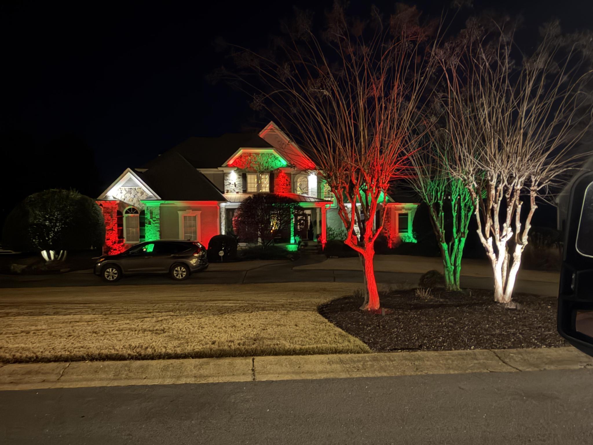 Dramatic uplighting on mature trees